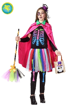 SCHELETRINA MULTICOLORE